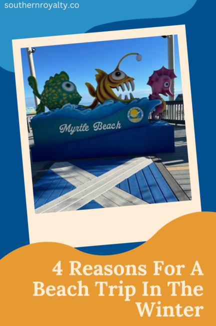 4 Reasons for a Beach Trip in the Winter