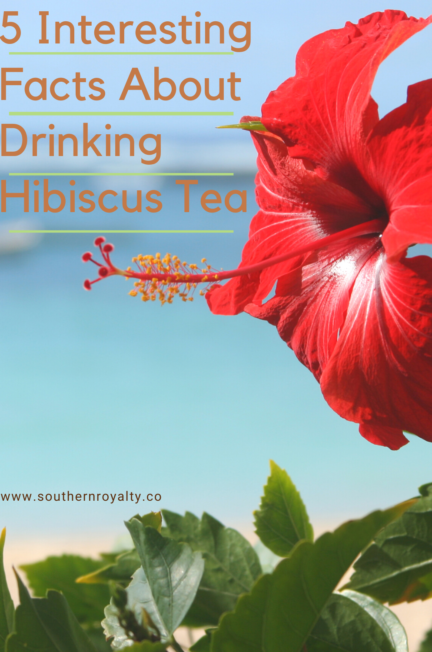 Interesting facts about drinking hibiscus tea